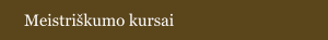 Meistriškumo kursai