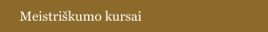 Meistriškumo kursai